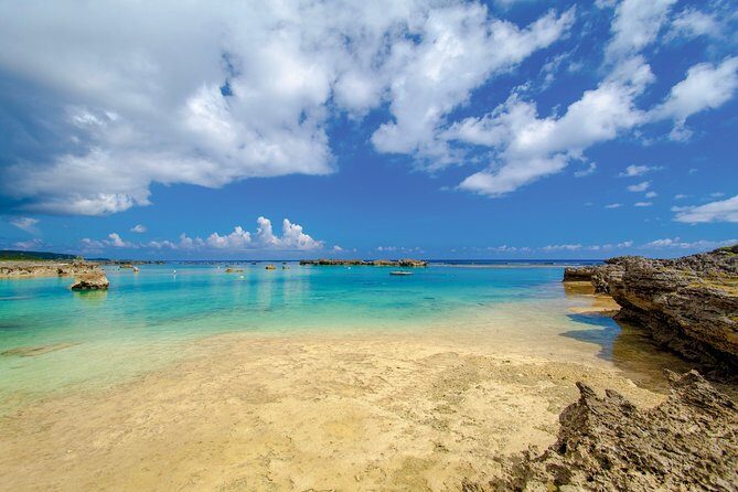 [Miyako Island / Half Day] Sea Turtle Snorkeling - Practical Details and Considerations