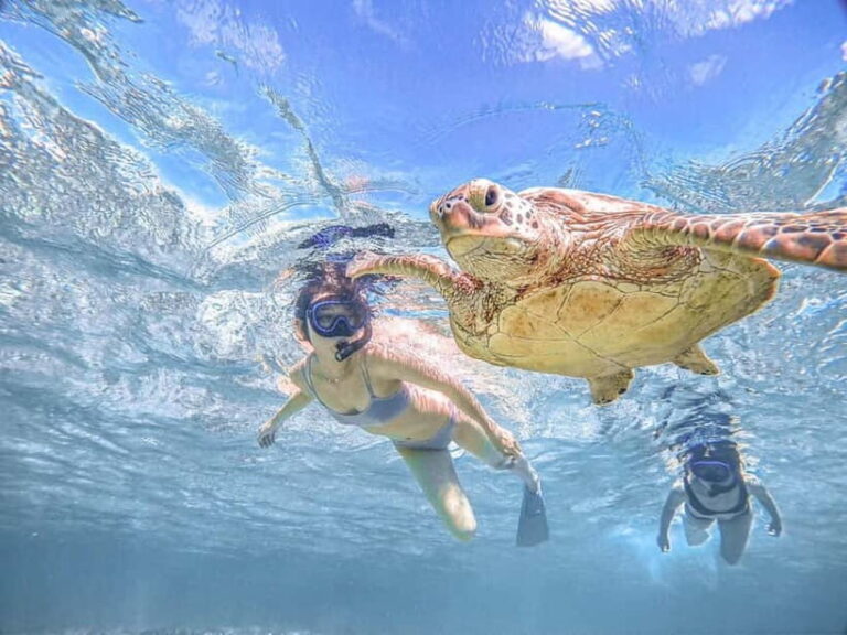 Miyakojima: SUP and Snorkeling- Two Activities in One Day - What You Can Expect from the Tour