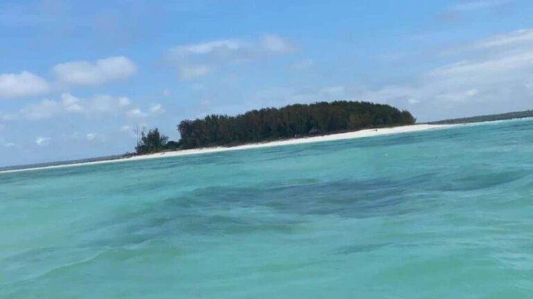 MNEMBA: Dolphin, Snorkeling &Nungwi Seaturtles Sentuary tour - The Practical Aspects