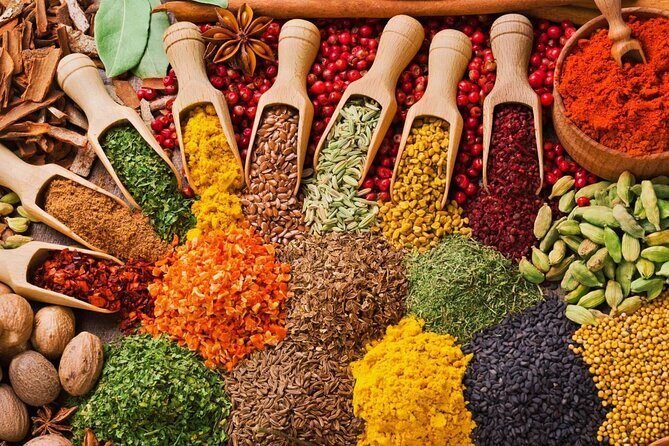 Mnemba Dolphin Tour, Cooking Class, Spice Tour, Horseback Riding - Starting with the Highlights