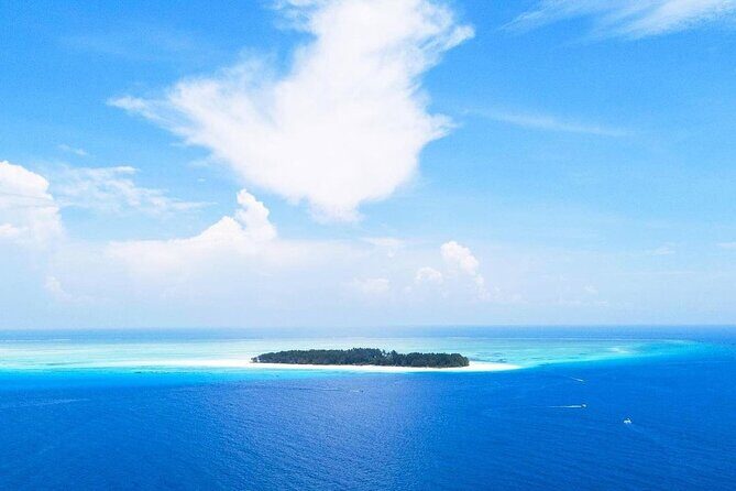 Mnemba Dolphin Tour, The Island Pongwe, Blue Lagoon, Starfish Tour, The Rock