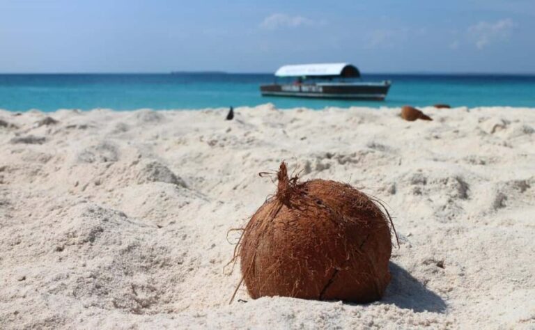 Mnemba island and prison Island with lunch - Authentic Experiences That Stand Out