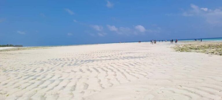 Mnemba Island, Aquarium & Sunset Full-Day Tour (With Food) - What Makes This Tour Valuable?