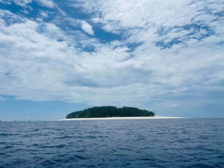 Mnemba island Dolphin tour, snorkeling with options of lunch - The Experience from Real Travelers: Authentic Feedback