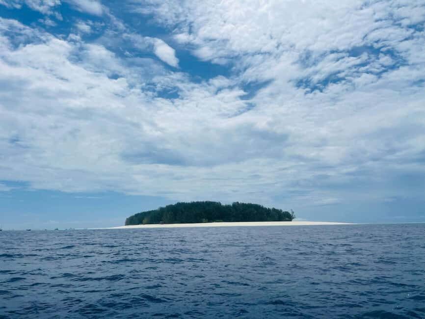Mnemba island Dolphin tour, snorkeling with options of lunch - The Experience from Real Travelers: Authentic Feedback