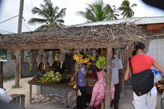 Mnemba Island, Nungwi Village & Sea Turtle Experience - Detailed Breakdown of the Itinerary