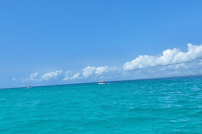 Mnemba Island Snorkeling and Dolphin tour - A Complete Breakdown of the Itinerary