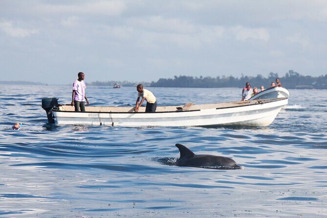 Mnemba Island Snorkeling and Swimming with Dolphins - Final Thoughts: Is It Worth It?