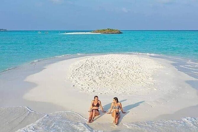 Mnemba Island Swim with Dolphins and Snorkeling (Sea food Lunch) - Who Will Love This Tour?