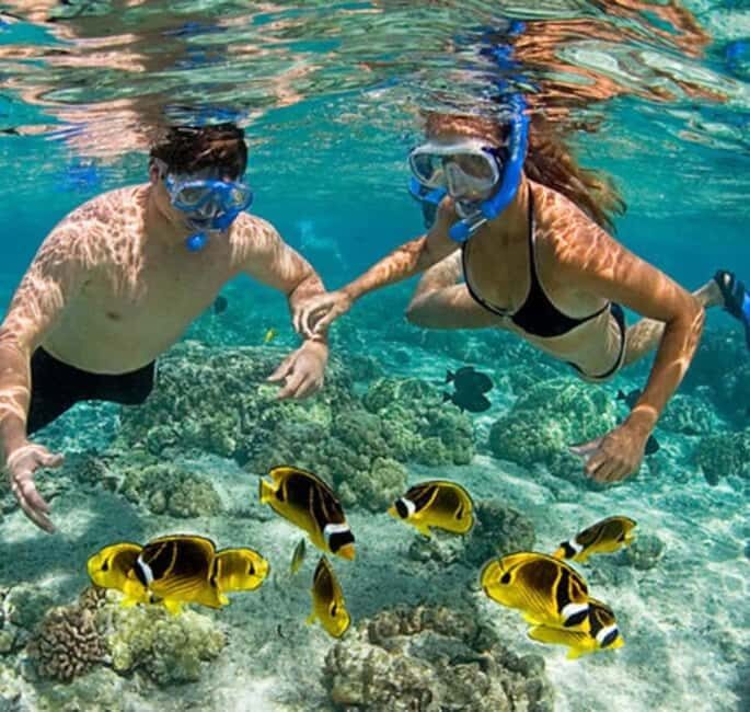 Mnemba island Swimming + snorkeling with dolphins adventure - Who Is This Tour Best For?