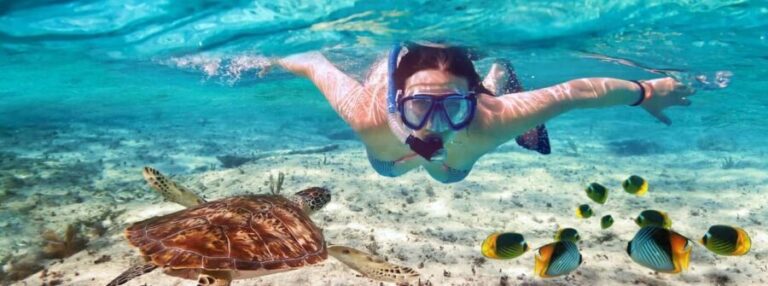 Mnemba island & swimming with turtles, in nungwi - Final Thoughts