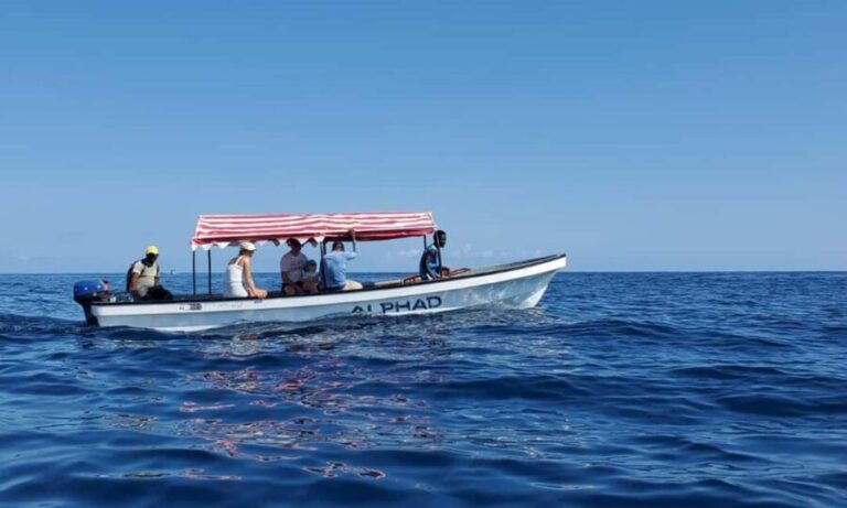 Mnemba Island Tour with Transfer - What to Expect on the Day