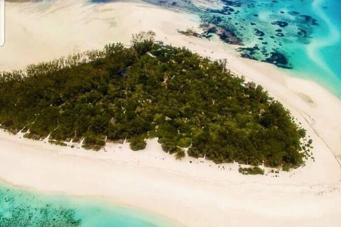 Mnemba Snorkeling; Monkey Tour; Kuza Cave; The Rock; Salaam Cave - Who Is This Tour Best For?