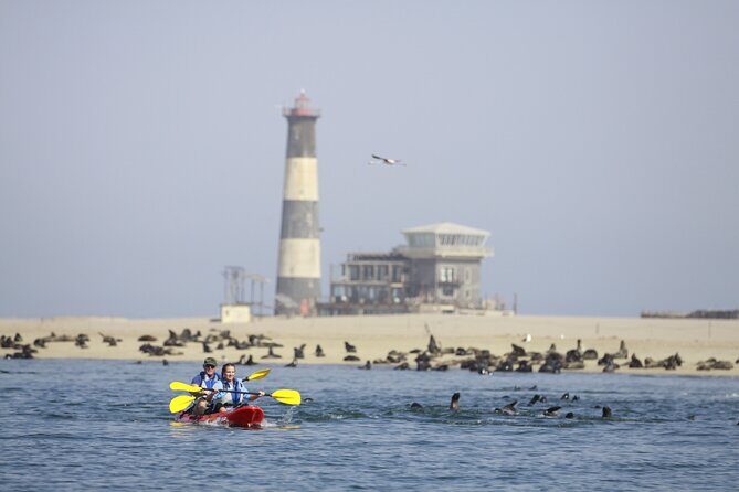 Mola Mola Kayaking Experience with a Licensed Guide - Practical Details and Tips