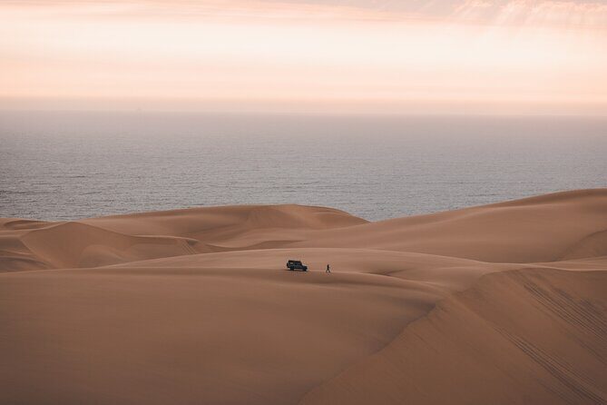 Mola Mola Marine Dune Experience