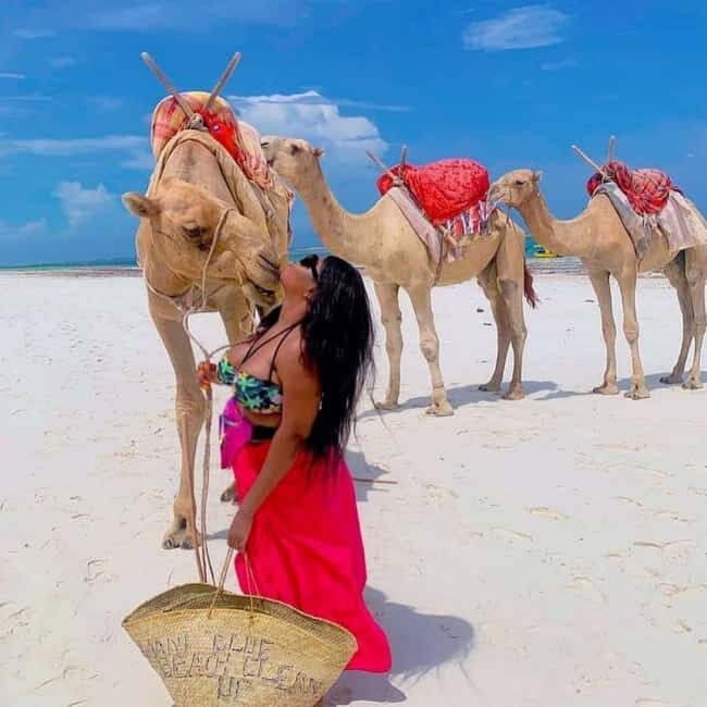 Mombasa: 3-Day Beach Tour with Haller Park Visit - What’s Included and What’s Not