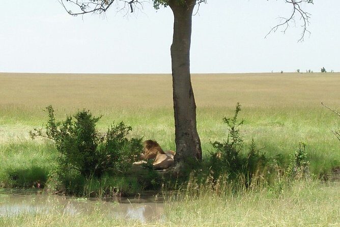 Mombasa & Diani: Group Day Trips to Tsavo Park - The Itinerary: What to Expect