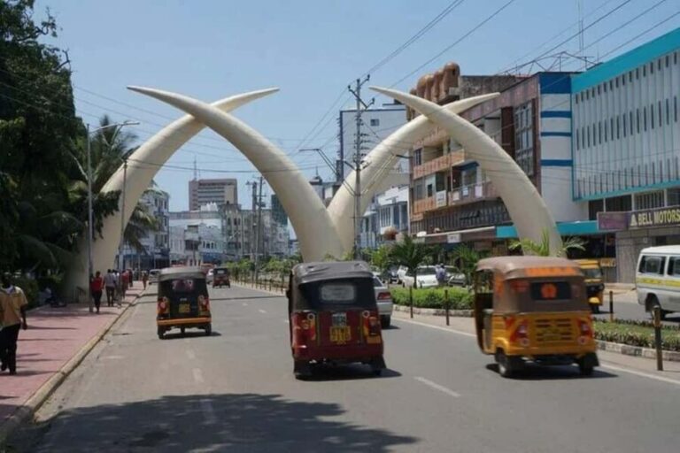 Mombasa: Discovery Day Tour and Haller Park - What’s Included and What’s Not