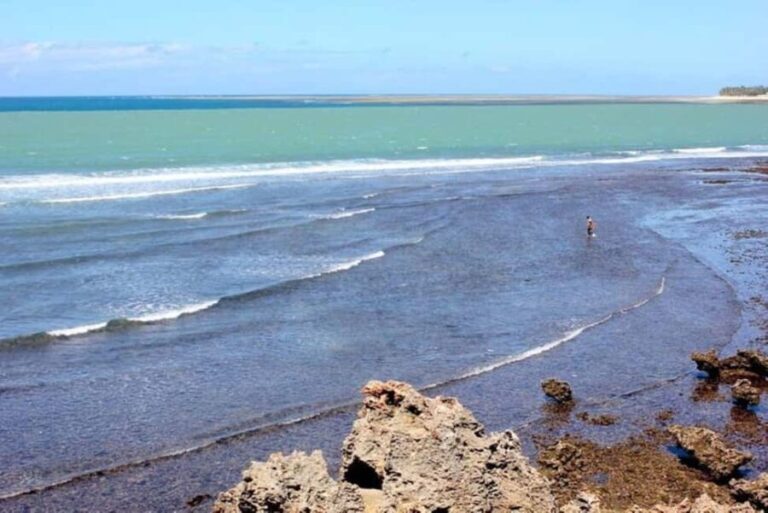 Mombasa: Full Day Private Tour and Excursions - Why This Tour Offers Great Value