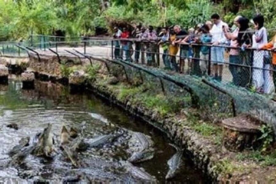Mombasa Full Day Tour and Excursions - Transportation, Group Size, and Value