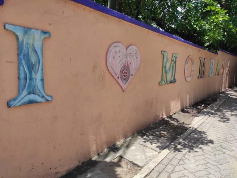Mombasa:Customer Service Hotel booking,Game drive,City tour - What to Expect From the Mombasa Tour