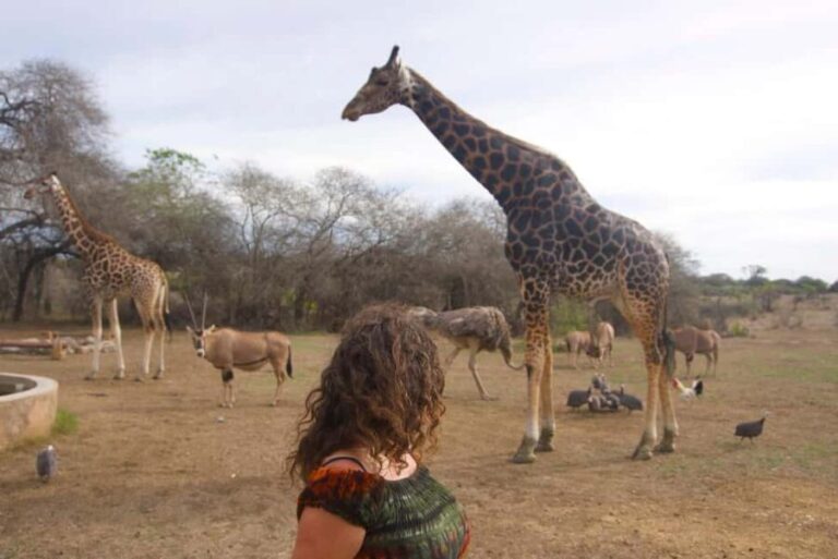 MOMBASA:FortJesus,OldCity,GiraffeOstrich,Oryx,Eland,WildTour - Authentic Markets and Mosques