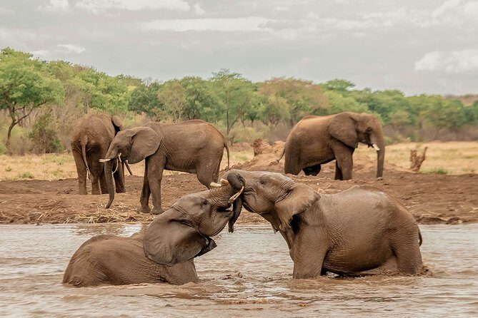 Moments with Elephants - Analyzing the Tour Itinerary and Experience