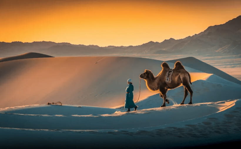 MONGOLIA SOUTH GOBI DESERT: 6 Day Exclusive Private Tour - Transportation, Comfort, and Practicalities