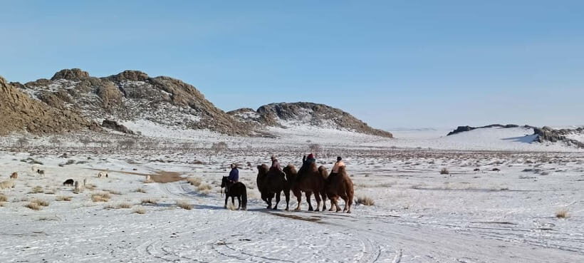 Mongolia: Winter Adventure Tour/Central Mongolia - Why This Tour Represents Good Value