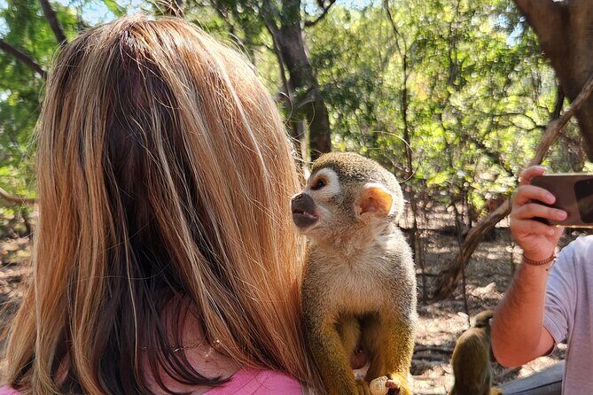 Monkey and Lemur Interaction + Wooden Bridge Forest Walk - FAQ