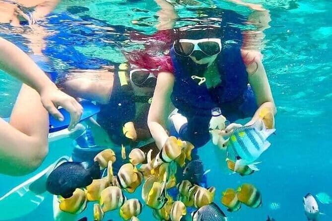 Monkey Bar and snorkling adventure at blue lagoon. - What’s Included and What’s Not