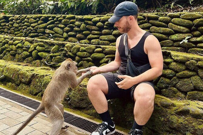 Monkey Forest, Rice Terrace & Water Temple Tour - Who Is This Tour Best Suited For?