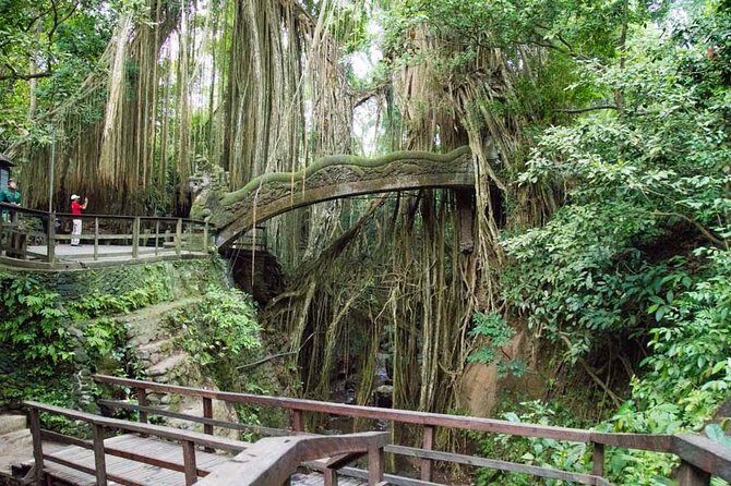 Monkey Forest Ubud Half day Tour - What to Expect from the Monkey Forest Ubud Half Day Tour