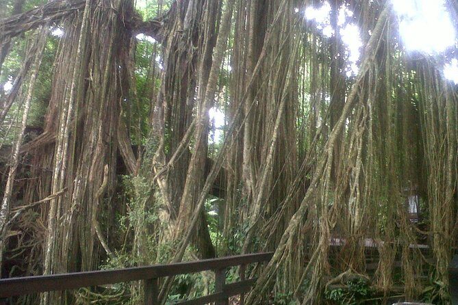 Monkey Forest, Ubud, Waterfall and Rice Terrace - Ubud Traditional Art Market: Shopping and Souvenirs