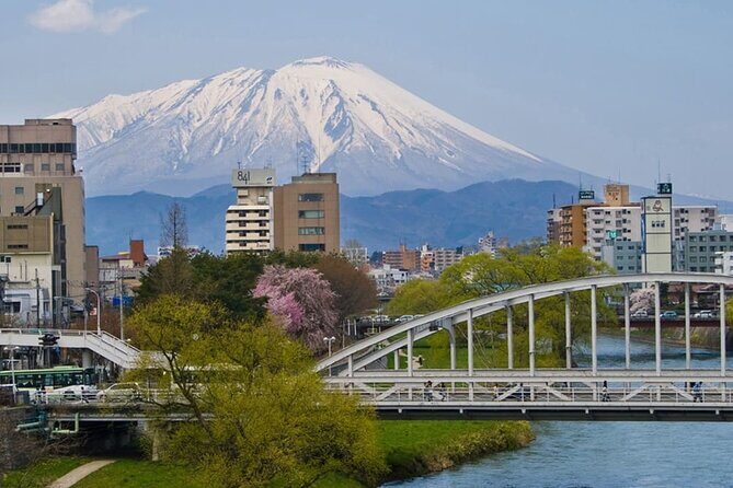 Morioka Half-Day Private Tour with Government-Licensed Guide - Why This Tour Offers Genuine Value
