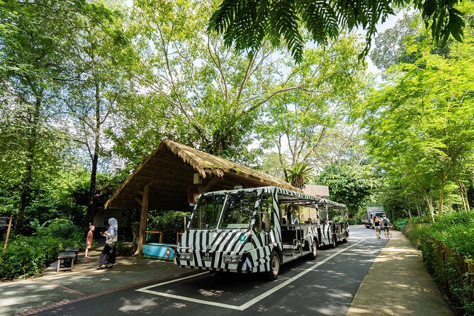 Morning at the Zoo with 1-way Transfer (Free & Easy) - The Experience for Different Types of Travelers