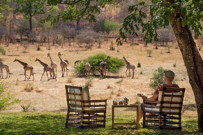 Morning or Afternoon Game Drive In Victoria Falls - Final Thoughts: Is It Worth It?