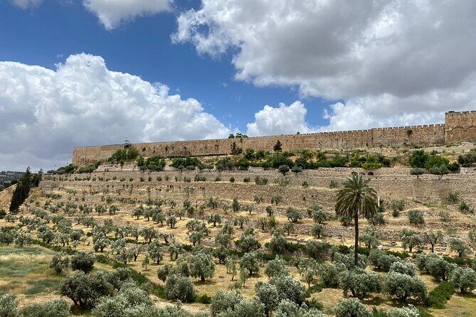 Morning Private Tour to Discover Jerusalem - What You Can Expect from the Tour Experience