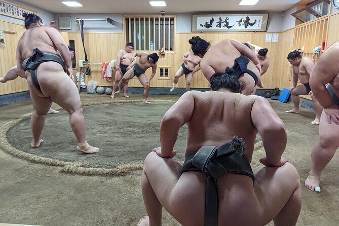 Morning Sumo Practice Viewing in Tokyo - Practical Details and What to Expect