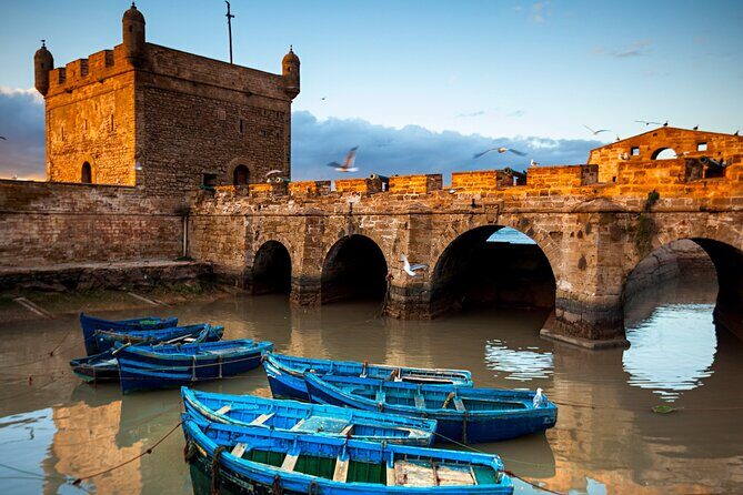 Morocco 11 Days Tour From Marrakech - What Makes This Tour Stand Out? Insights from Travelers
