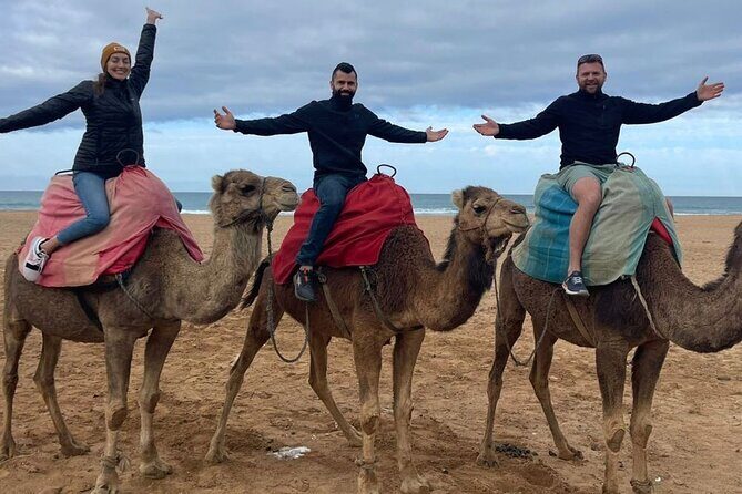 Morocco Day Trip from Spain: Private, Luxury & All-Inclusive - Practical Considerations