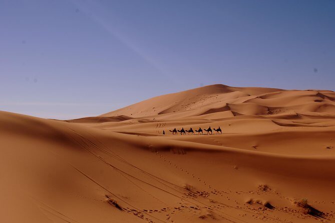 Morocco Desert Tour 8 Days Desert tour from Tangier to Marrakech - Transportation and Comfort