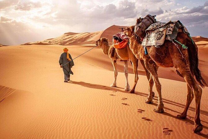 Morocco Desert Tour Private 4-Days from Marrakech to Merzouga - Analyzing the Value