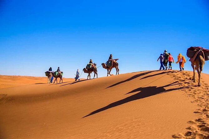 Morocco desert tours from Marrakech 3 days - What’s Included and What’s Not