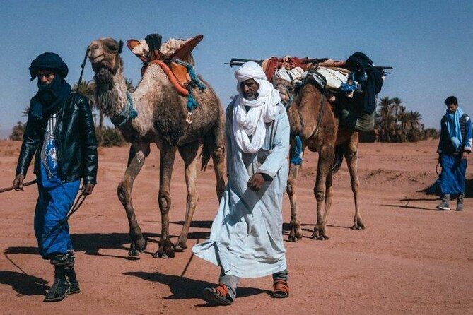 Morocco Desert Trek 4 Days: 2 days on foot in Morocco - What Makes This Tour Stand Out?