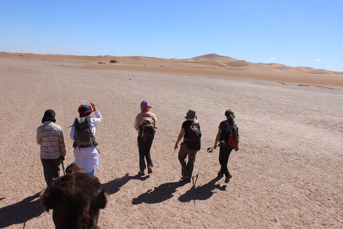 Morocco desert trek (8 days) - Practical Aspects & Value