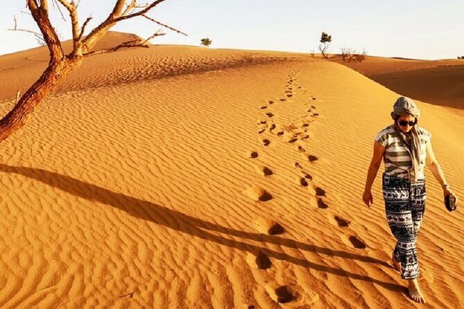 Morocco desert trek dromedary Mhamid dunes - Dunes, Dunes Everywhere
