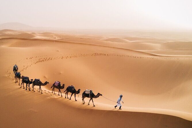 Morocco Tour from Casablanca to Sahara and Marrakech 5 days - Transportation and Accommodation