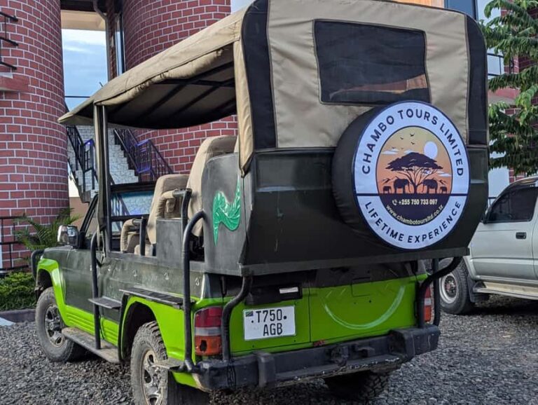 Morogoro: 2-Day Mikumi & Udzungwa Mountains Safari - An In-Depth Look at the 2-Day Mikumi & Udzungwa Safari