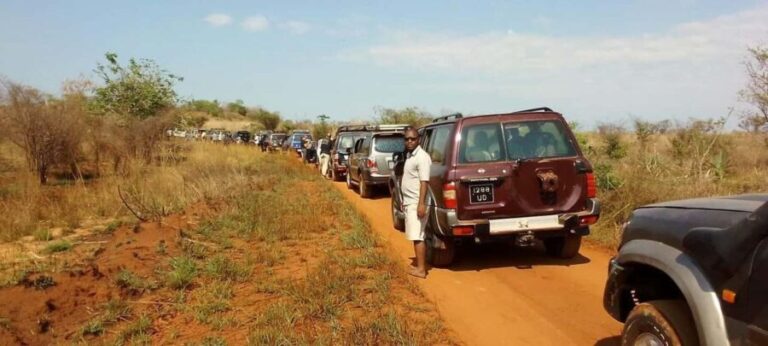 Morondava: 3-Day Safari Tour Tsingy Bemaraha-Baobab avenue - Authentic Experiences and Real Traveler Insights
